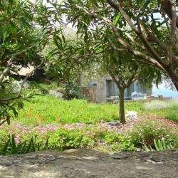 Casa Ventu