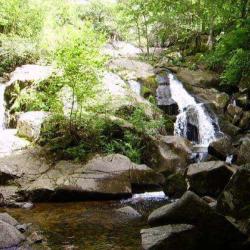 Cascade De La Pisserotte