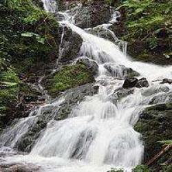 Cascade De La Serva
