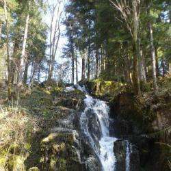 Cascade Du Saut Du Bouchot