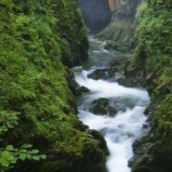 Cascades Et Gorges De La Langouette