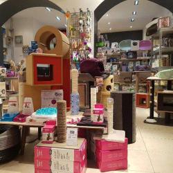 Cat Apart La Boutique Du Chat Urbain
