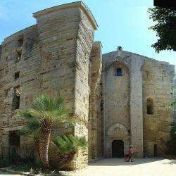 Cathédrale De Maguelone