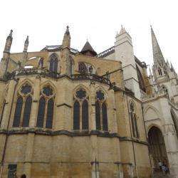 Cathédrale Notre Dame