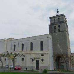Cathédrale Saint Jean Baptiste