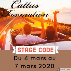 Cattus Formation