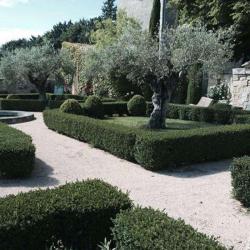 Cavagna Sebastien