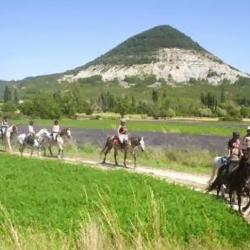 Cavaliers De La Louviere