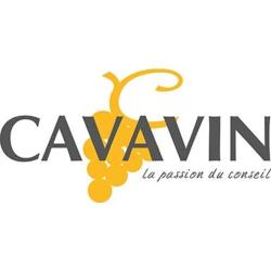 Cavavin