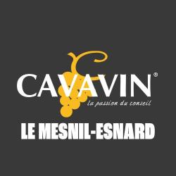 Cavavin - Le Mesnil-esnard