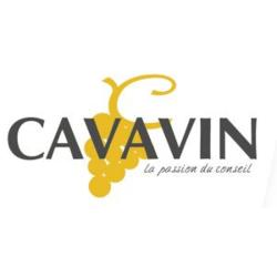 Cavavin