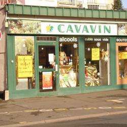 Cavavin