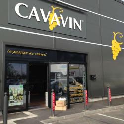 Cavavin