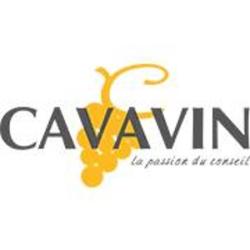 Cavavin