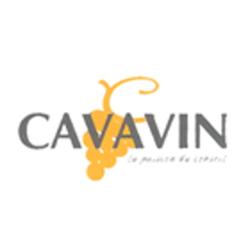 Cavavin