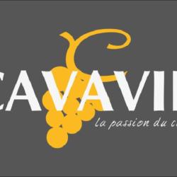 Cavavin