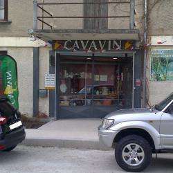 Cavavin