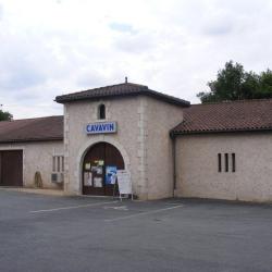 Cavavin