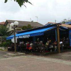 Cave Aux Moules (la)