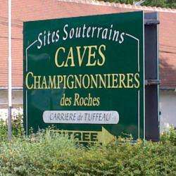 Cave Champignonnière Des Roches