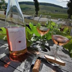 Cave Des Vins De Sancerre
