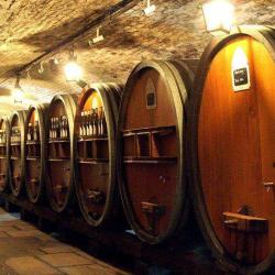 Cave Historique Des Hospices