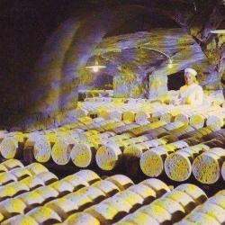 Caves De Roquefort Société