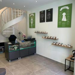 Cbd Aurillac | Satyva