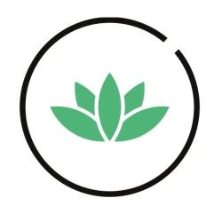 Cbd Blaye - Cbdream