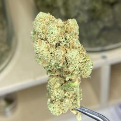 Cbd Elbeuf - Amsterdam Quality