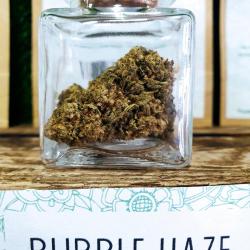 Cbd  Flowers Power -  Oloron