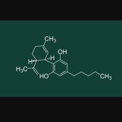 Cbd Lyon - Granashop