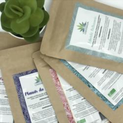 Cbd Metz - La Jungle De Tom