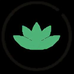 Boutique De Cbd Nérac - Cbd Shop - Cbdream