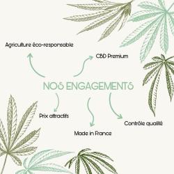 Cbd Paris, H4 & Thcv Flowers Power Commerce/cambronne