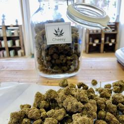 Cbd Pau - Yama Sté