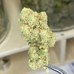 Cbd Rouen - Amsterdam Quality