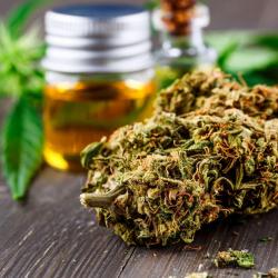 Cbd Rouen - Weed Corner Rouen
