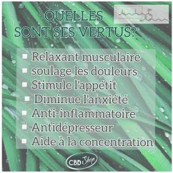 Cbd Shop Calais