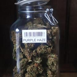 Cbd Tarbes - Yama Sté