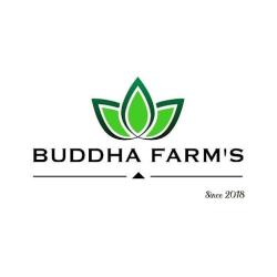 Cbd Thionville - Buddha Farm's