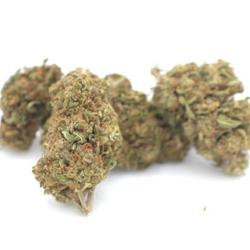 Cbd Toulouse - Cbd Bicyclette - Livraison Express De Fleurs De Cbd