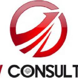 Cbv Consulting