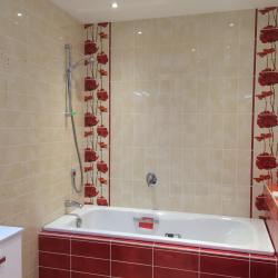 Cedeo