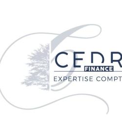 Cedre Finance Et Expertise Comptable