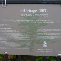 Cèdre Héritage 1803