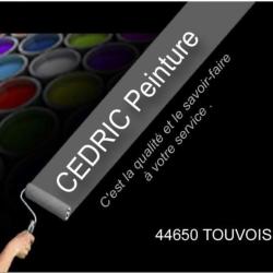Cedric Peinture