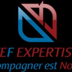 Cef Expertise
