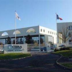 Cefaa