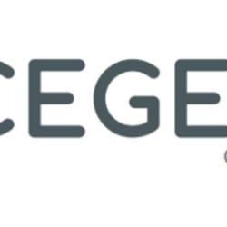 [old] - Cegema Gestion (ne Pas Utiliser)